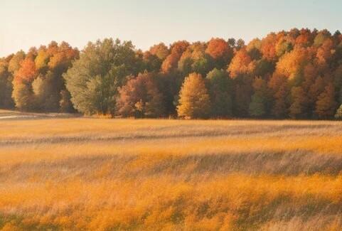 Autumnal Abode