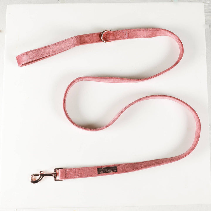 Velvet Pet Leash