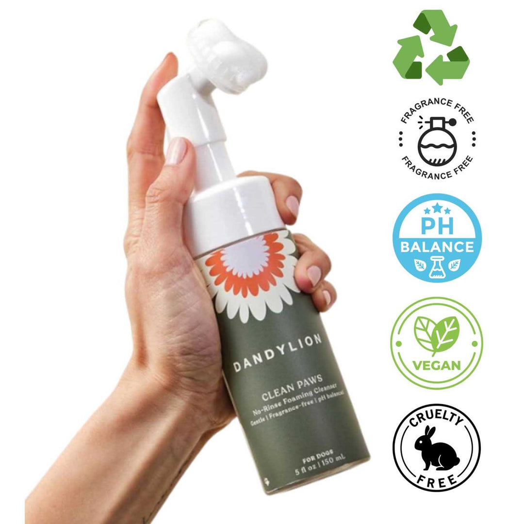 Dandylion Clean Paws No-Rinse Foaming Pet Cleanser in a pump bottle, ready to clean pet paws without rinsing.