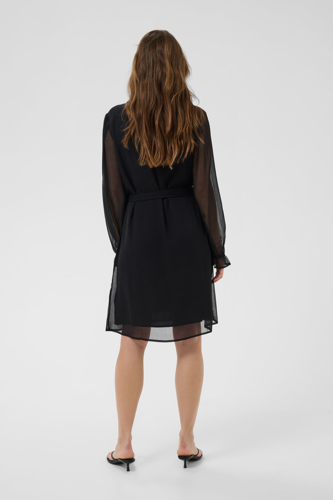 Yuna Sheer Sleeve Dress