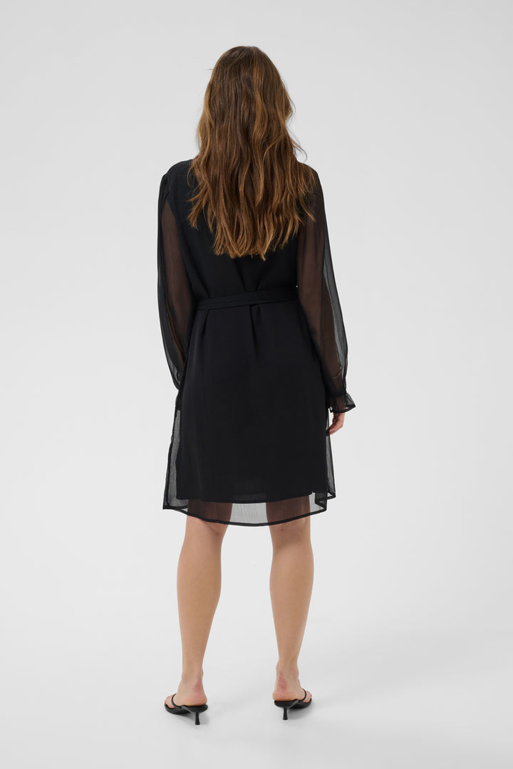 Yuna Sheer Sleeve Dress
