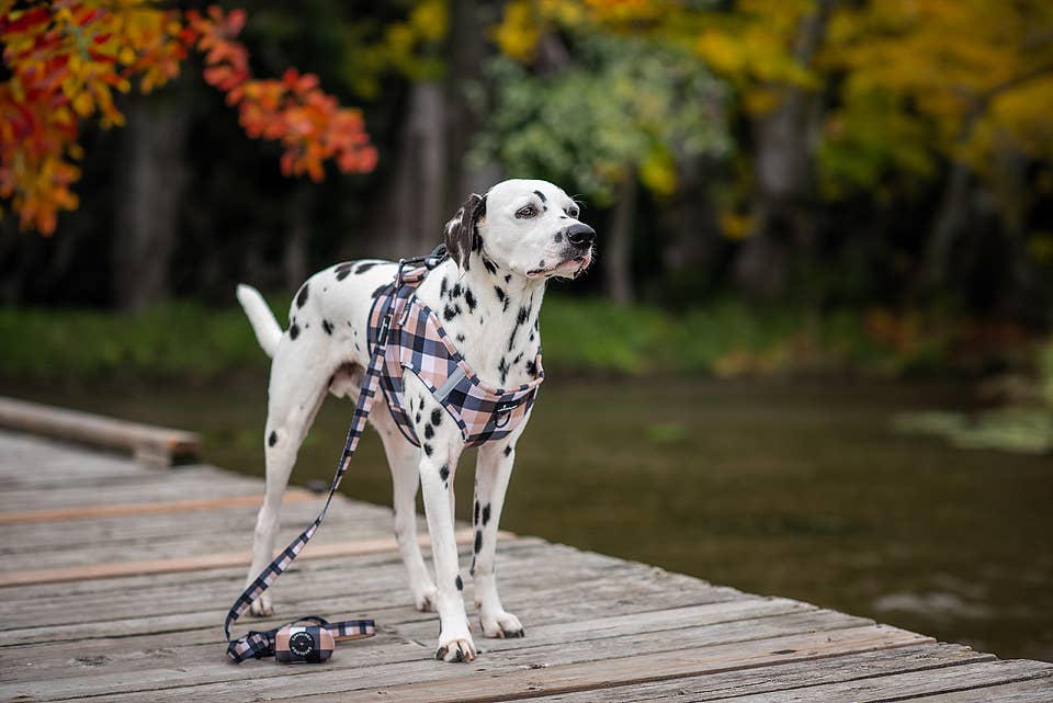 Buffalo Plaid Pet Leash