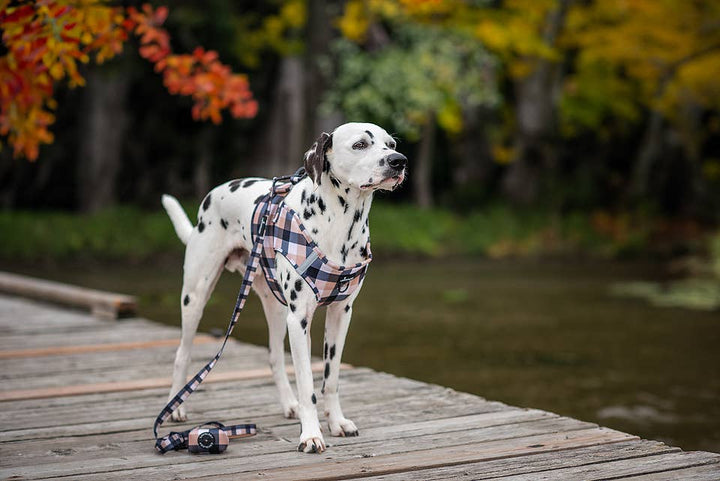 Buffalo Plaid Pet Leash
