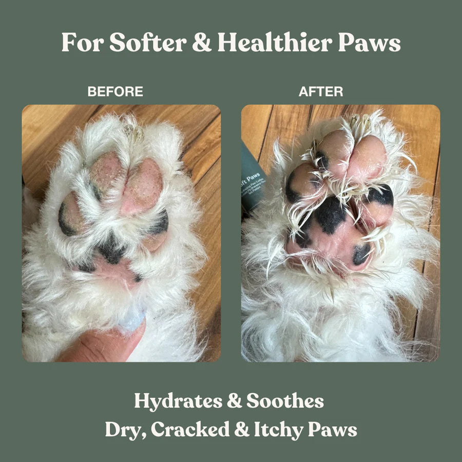 Dandylion Clean Paws No-Rinse Foaming Pet Cleanser bottle with foam dispenser for easy paw cleaning.