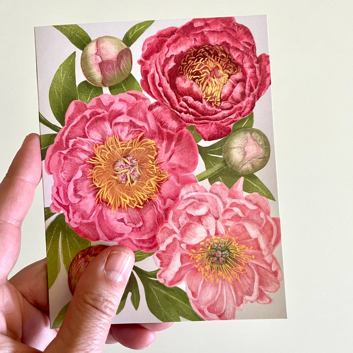 ‘Plentiful Peonies’ Botanical Art Card by Hawk and Rose