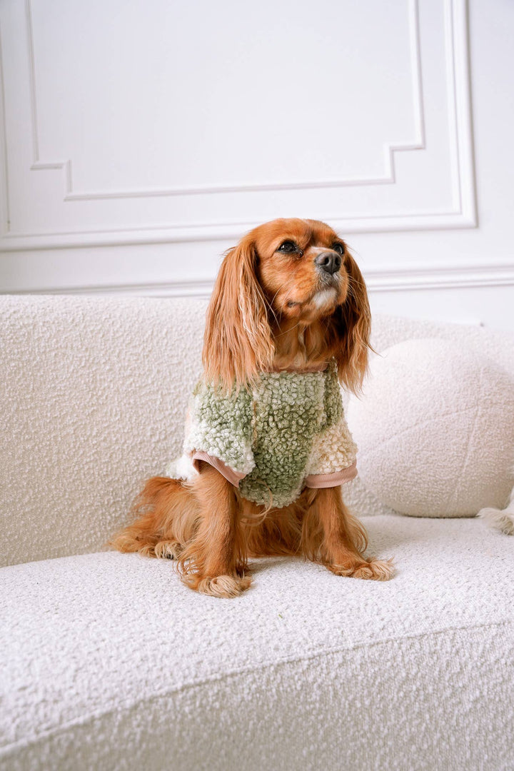 Boucle Plaid Dog Sweater