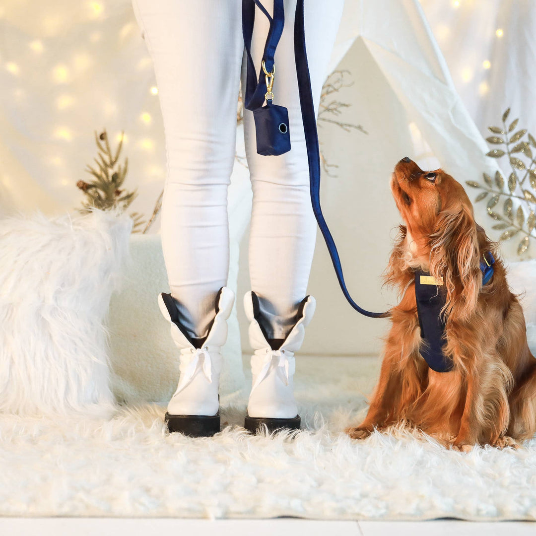 Velvet Pet Leash