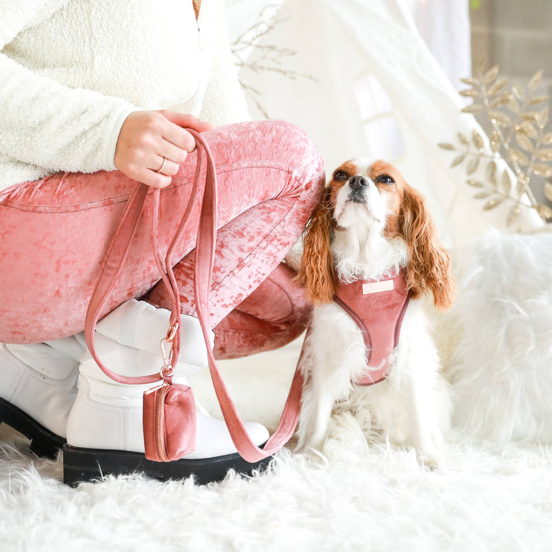 Velvet Pet Leash