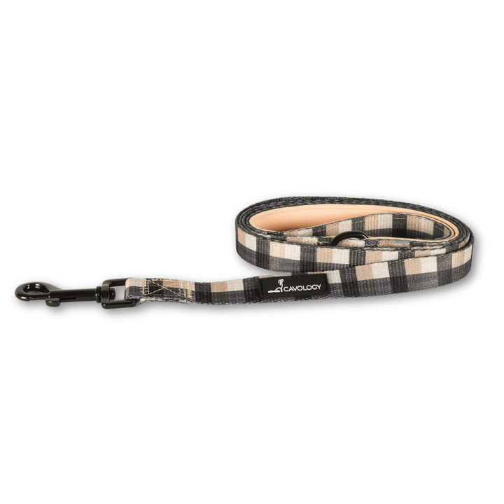 Buffalo Plaid Pet Leash