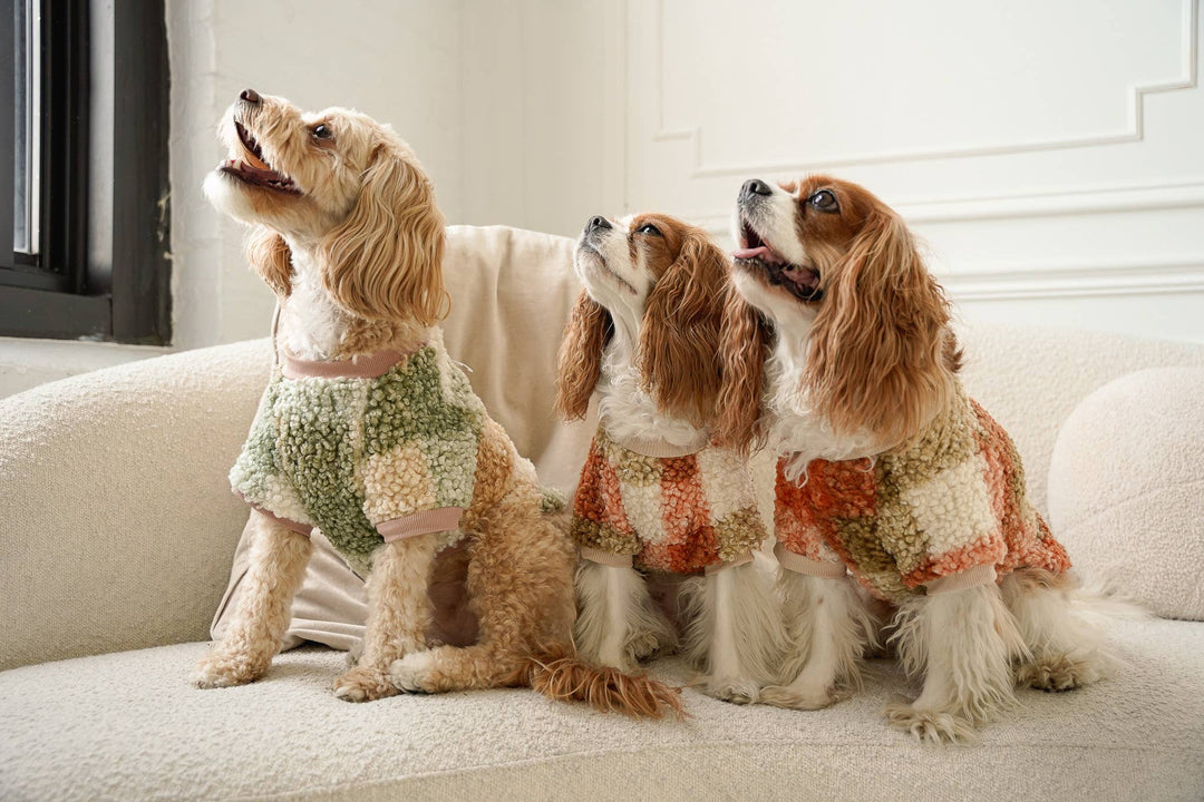 Boucle Plaid Dog Sweater