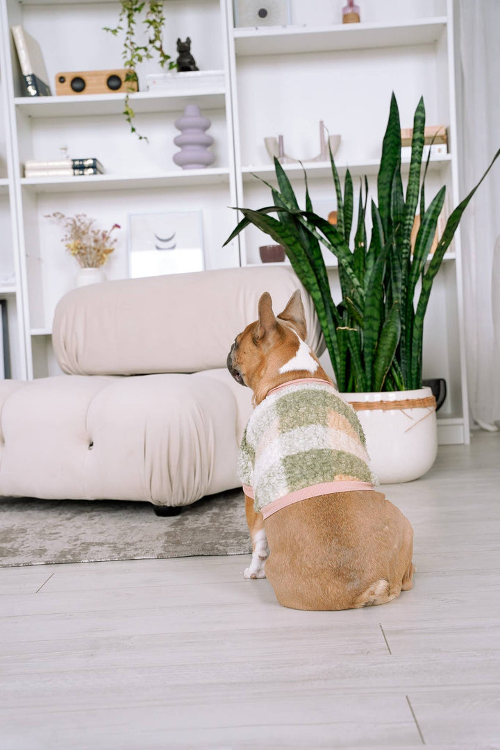 Boucle Plaid Dog Sweater