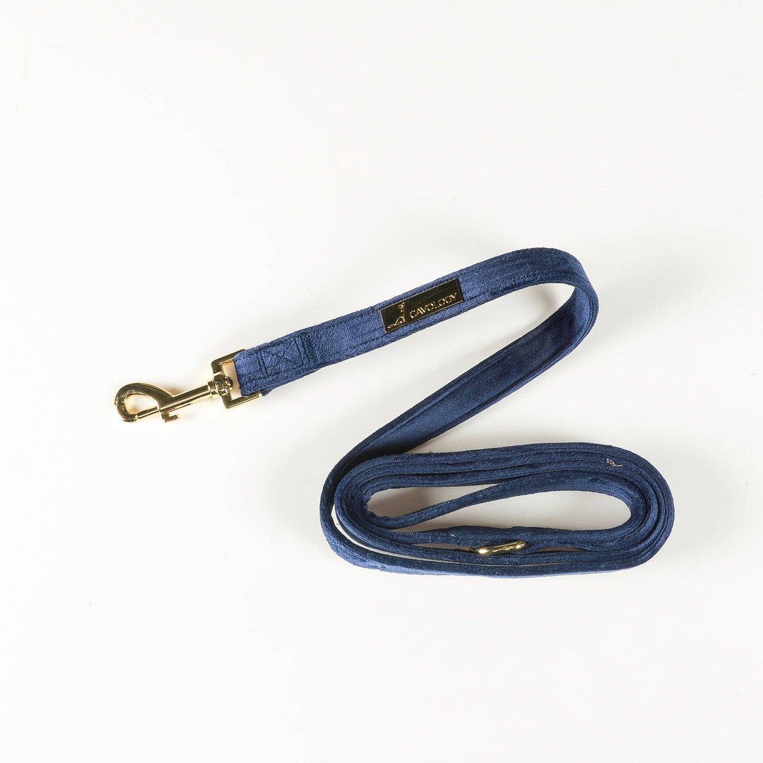 Velvet Pet Leash