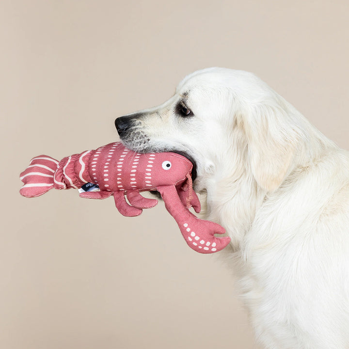 FRINGE Claw It A Day Canvas Lobster Dog Toy featuring a colorful lobster design on durable canvas for dogs to chew and play with.