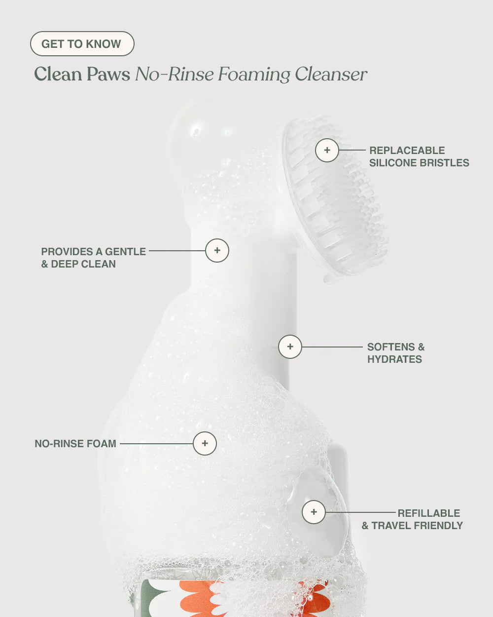 Dandylion Clean Paws No-Rinse Foaming Pet Cleanser bottle with foam dispenser for easy paw cleaning.
