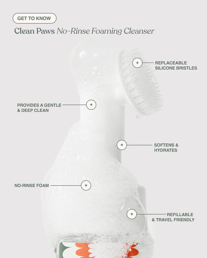 Dandylion Clean Paws No-Rinse Foaming Pet Cleanser bottle with foam dispenser for easy paw cleaning.