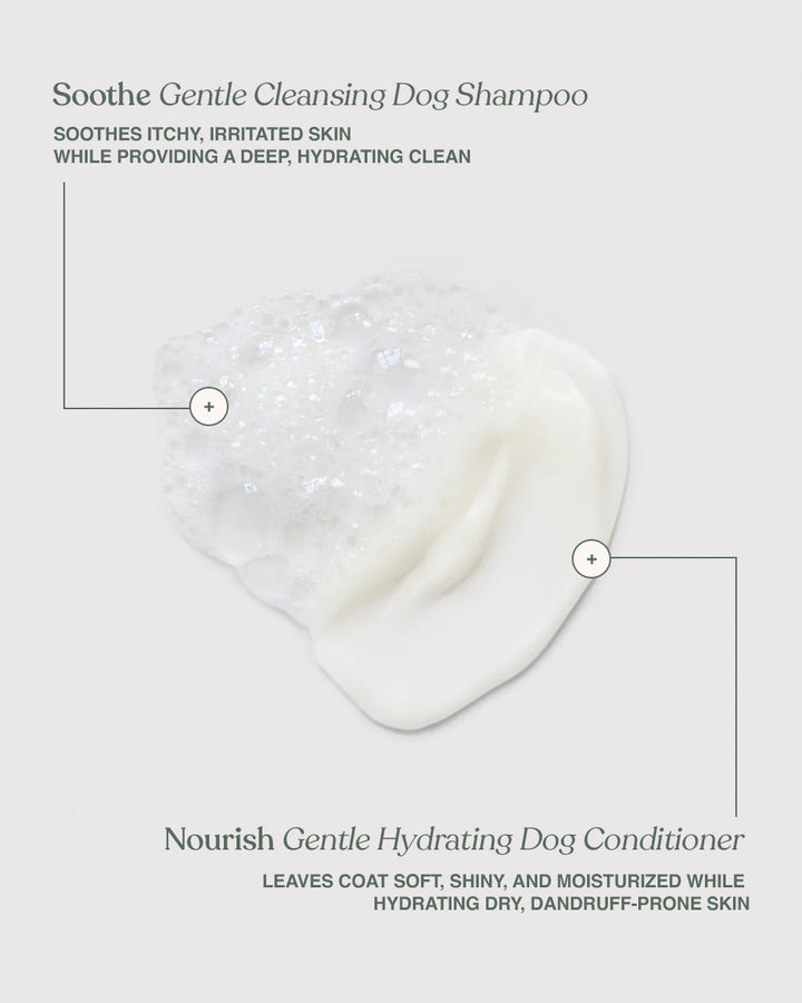 Dandylion Nourish Gentle Hydrating Dog Conditioner bottle, pet conditioner for soft, shiny fur, natural pet grooming product