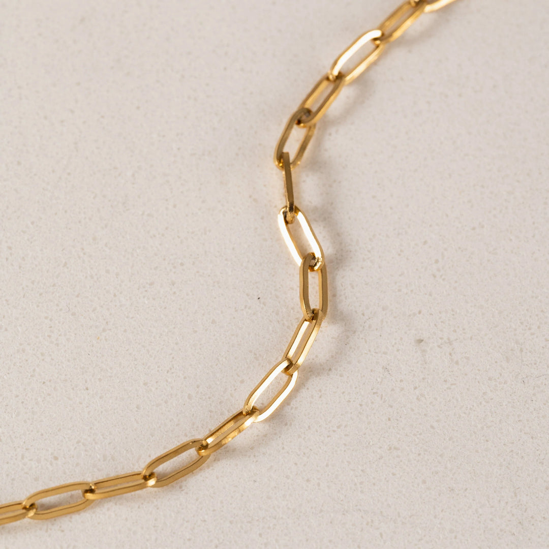 Lover's Tempo Darcy Toggle Clasp Gold Necklace featuring a stylish toggle closure and elegant gold chain.