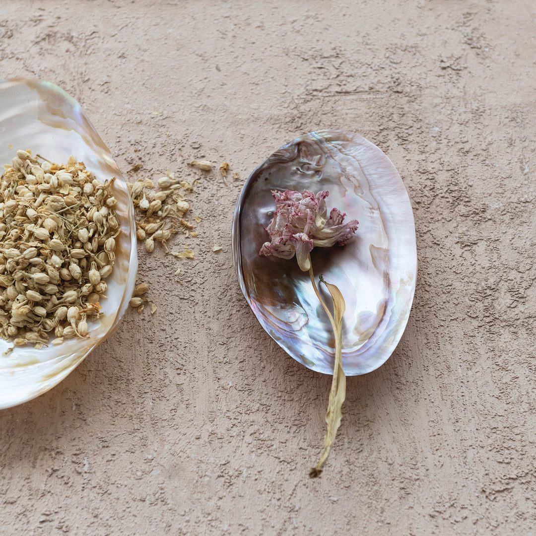 Decorative natural shell dish by Creative Co-op, featuring smooth mother of pearl finish in an elegant dish for home decor.