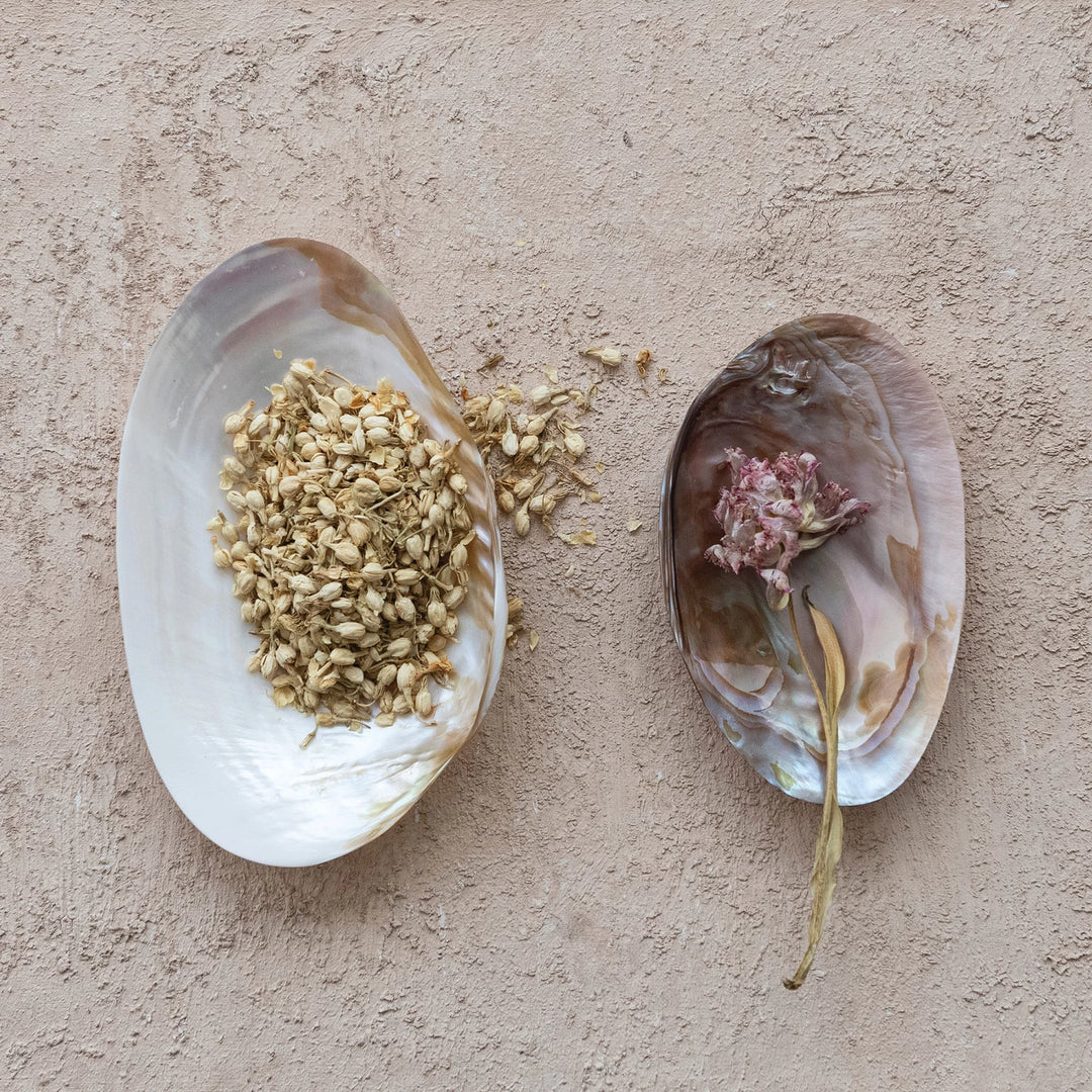 Decorative natural shell dish by Creative Co-op for coastal decor.