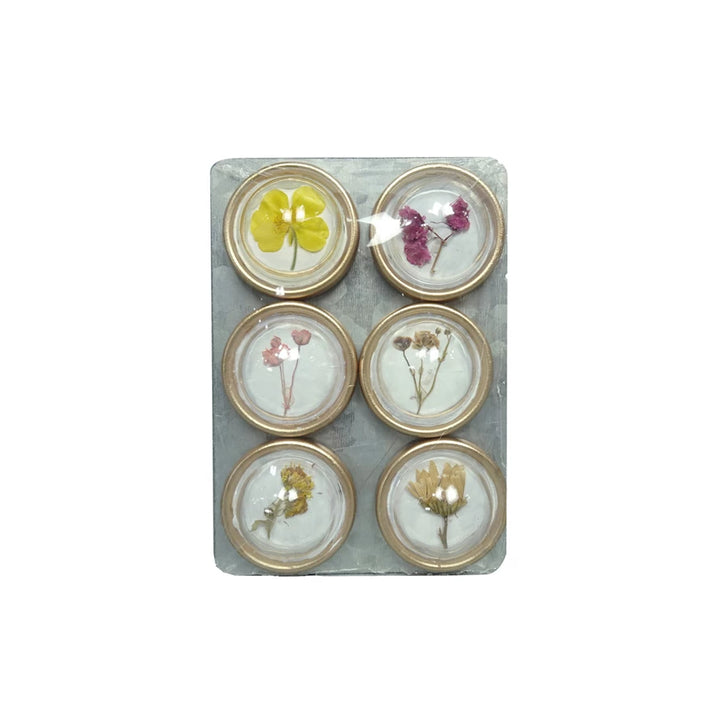 Set of dried floral botanical magnets by Creative Co-op featuring colorful dried flower designs for decorative purposes.