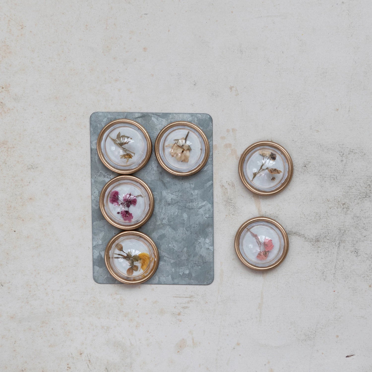 Creative Co-Op Dried Floral Botanical Magnet - Thumbnail 2
