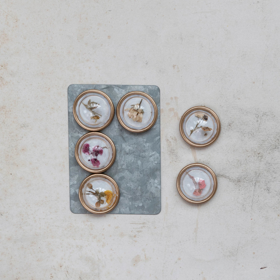 Set of dried floral botanical magnets by Creative Co-op, featuring colorful pressed flowers on small decorative magnets.