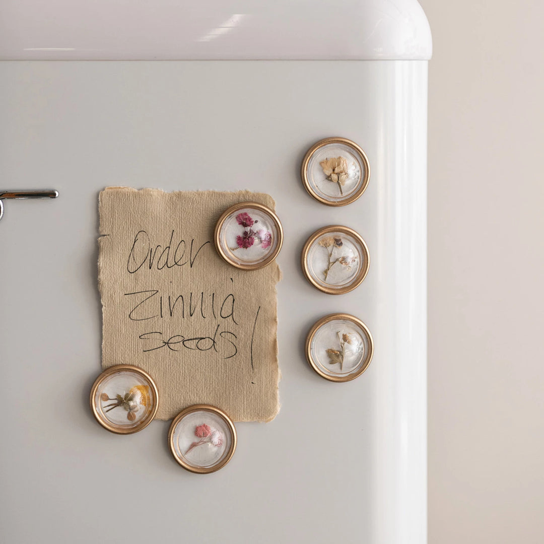 Set of dried floral botanical magnets featuring colorful, pressed flowers on round metal magnets by Creative Co-op.