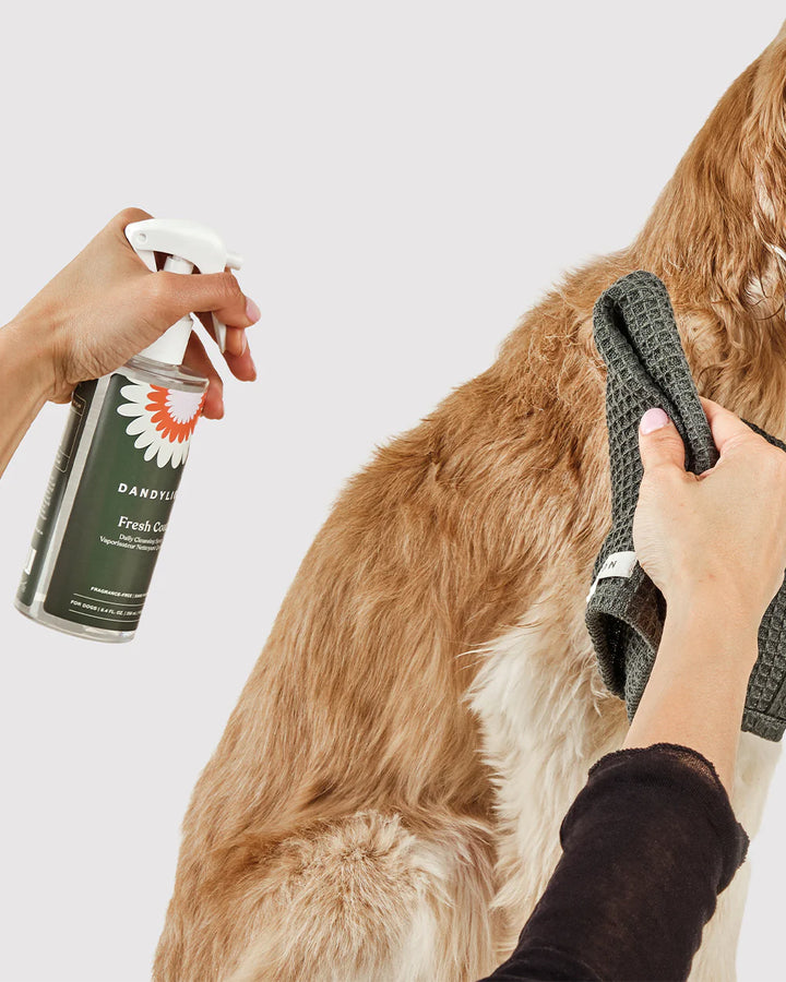 Dandylion Fresh Coat Daily Cleansing Spray for pets, waterless no-rinse pet cleansing spray with a spray bottle for quick grooming.