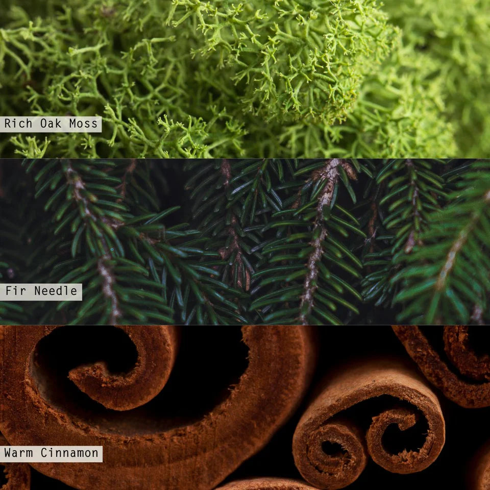 Festive Boxed Votive Candle