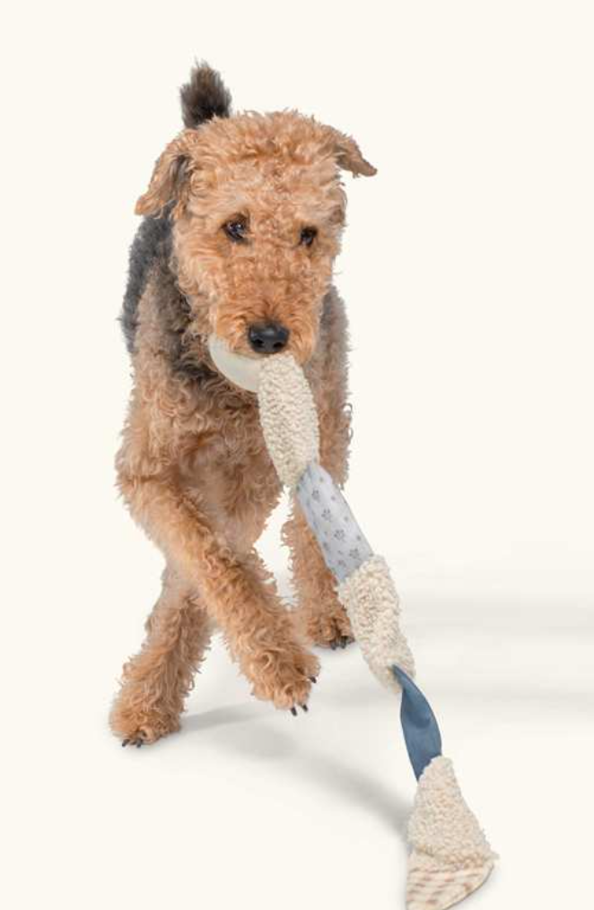 FRINGE Patchwork Ziggy Snake Dog Toy featuring soft  fabric patches and a durable design for playful dogs.