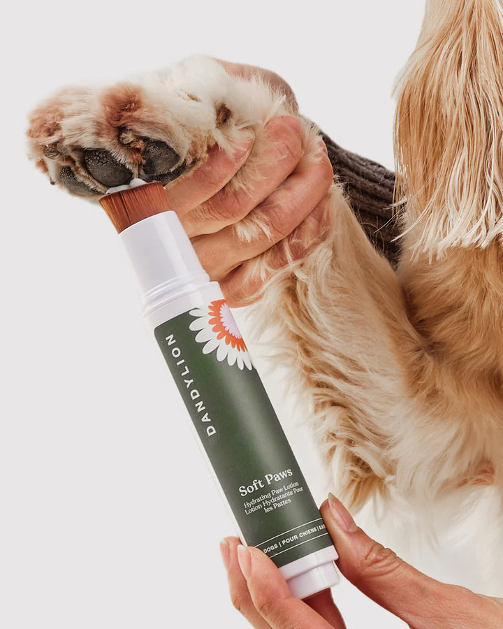 Dandylion Soft Paws Hydrating Paw Lotion applied to a dog's paw, showing a soothing, moisturizing treatment for dry, cracked paws.