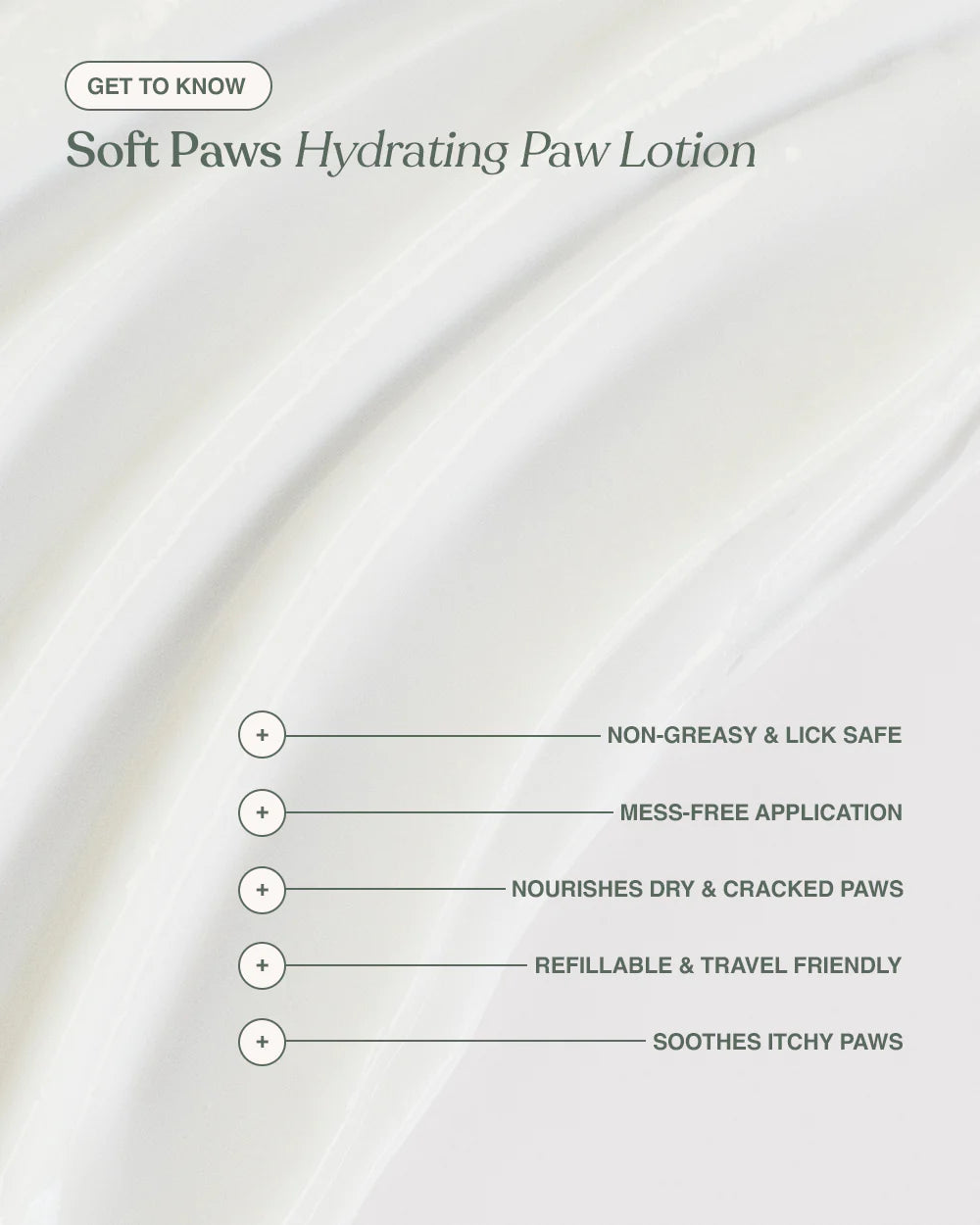 Dandylion Soft Paws hydrating paw lotion applied to a dog's paw, showcasing moisturizing treatment for dog paw care.