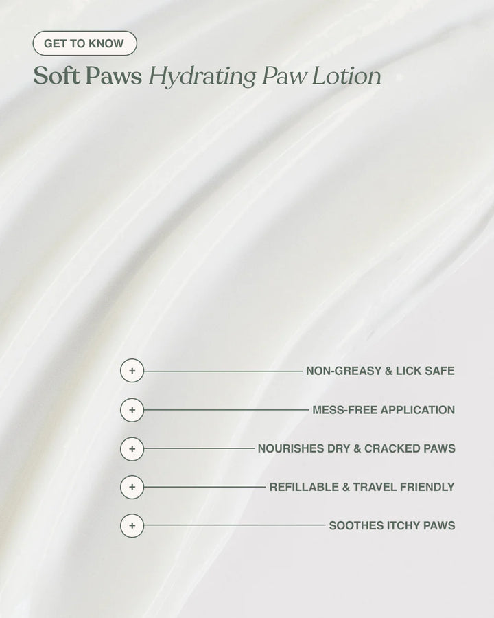 Dandylion Soft Paws hydrating paw lotion applied to a dog's paw, showcasing moisturizing treatment for dog paw care.