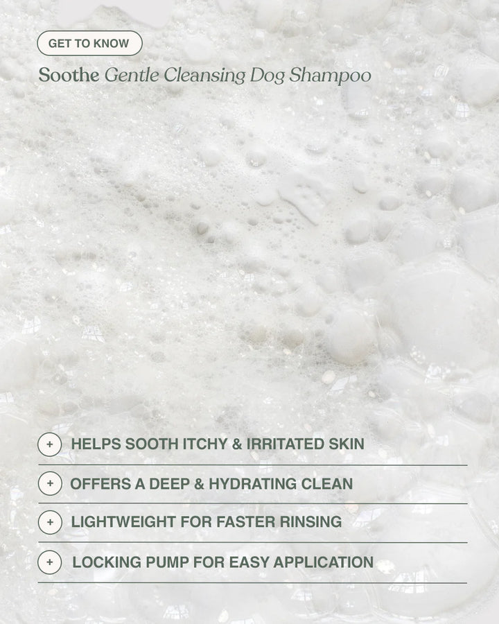 Dandylion Soothe Gentle Cleansing Dog Shampoo bottle with label, designed for gentle pet grooming and soothing dog skin.