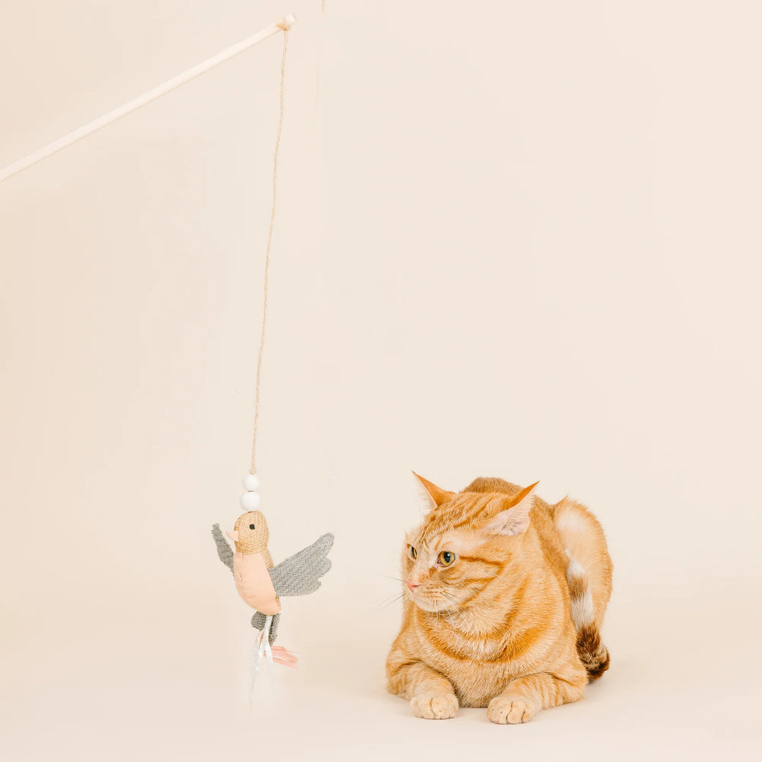 FRINGE Taking Flight Teaser Cat Toy with feathers on bird toy and string for playful feline entertainment on a white background.