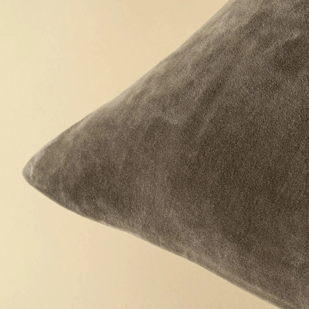 Vera Luxe Velvet Throw Pillow