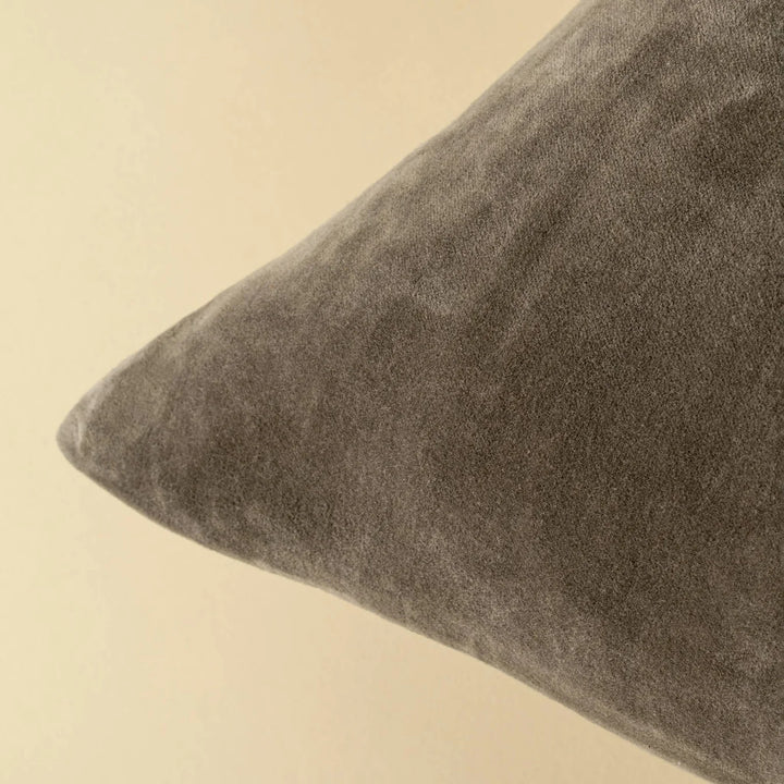 Vera Luxe Velvet Throw Pillow