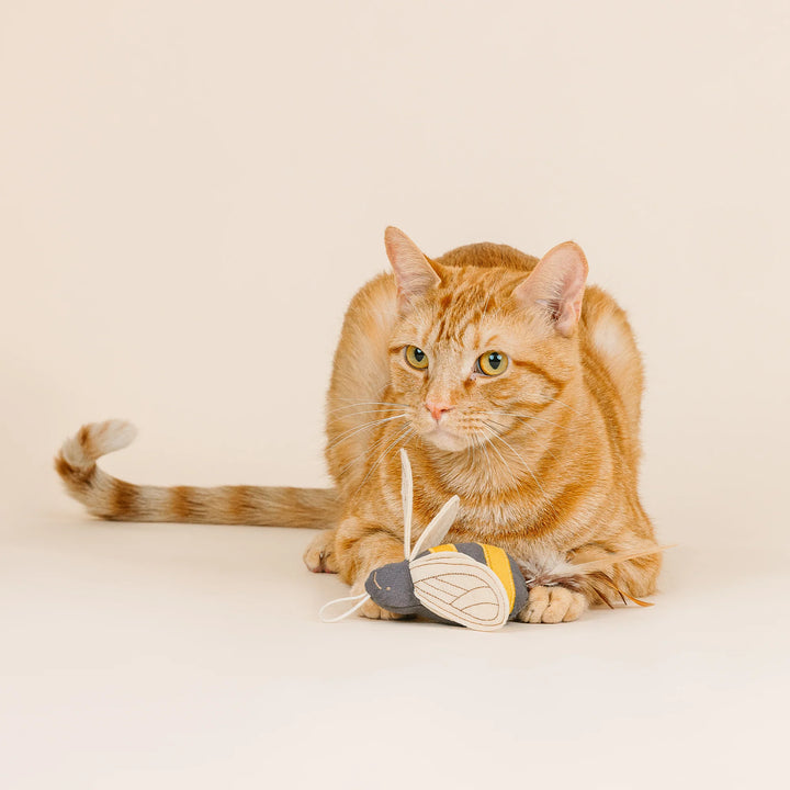 FRINGE Worth The Buzz Bee Cat Toy featuring a colorful bee design, plush body, and dangling wings for playful feline entertainment.