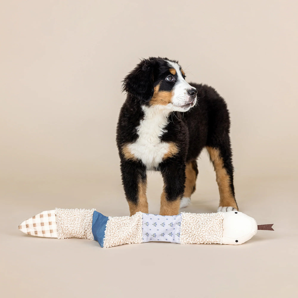 FRINGE Patchwork Ziggy Snake Dog Toy with soft fabric patches, soft plush texture, and playful design for dogs.