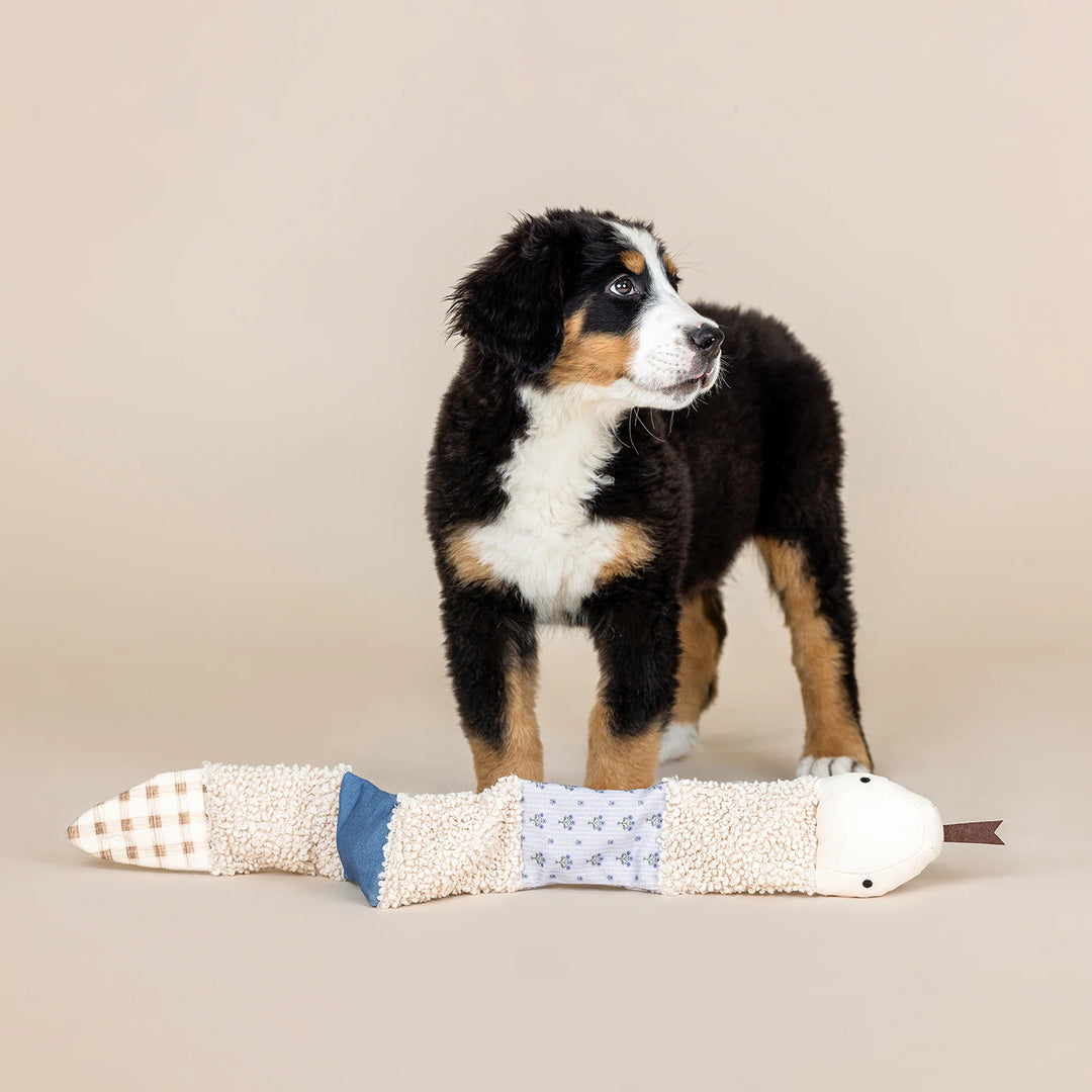 FRINGE Patchwork Ziggy Snake Dog Toy with soft fabric patches, soft plush texture, and playful design for dogs.
