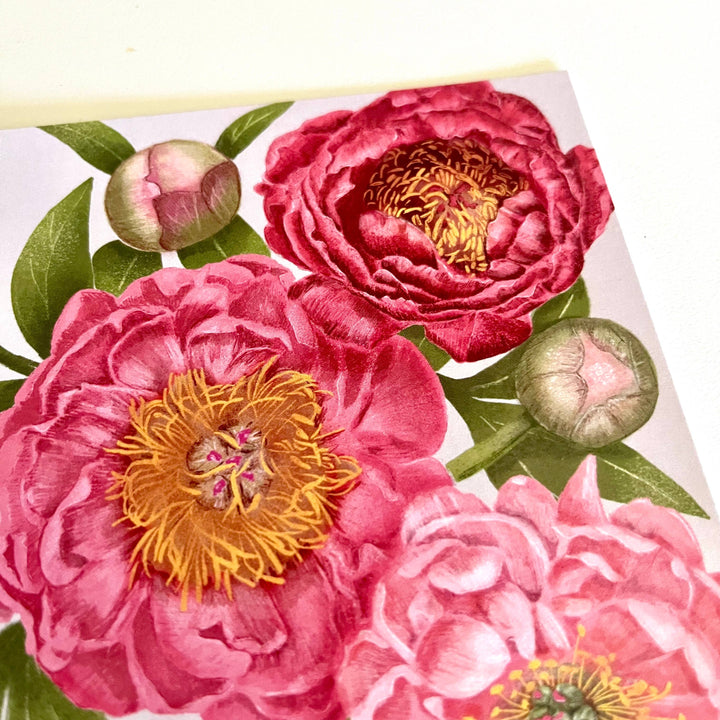 ‘Plentiful Peonies’ Botanical Art Card by Hawk and Rose