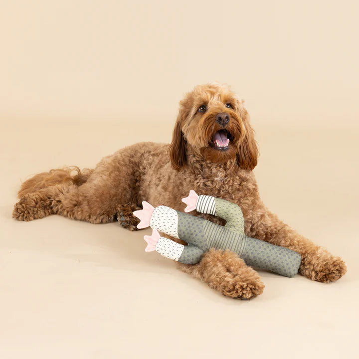 interactive play canvas cactus squeaky toy dog