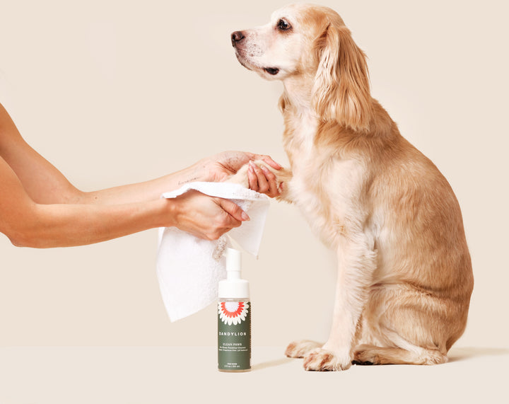 Dandylion Clean Paws No-Rinse Foaming Pet Cleanser bottle with label, designed for quick, gentle paw cleaning without rinsing.