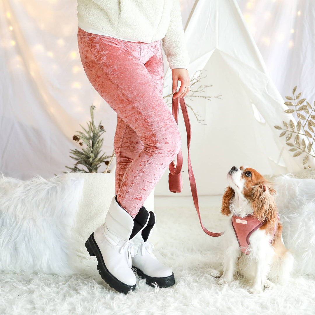 Velvet Pet Leash