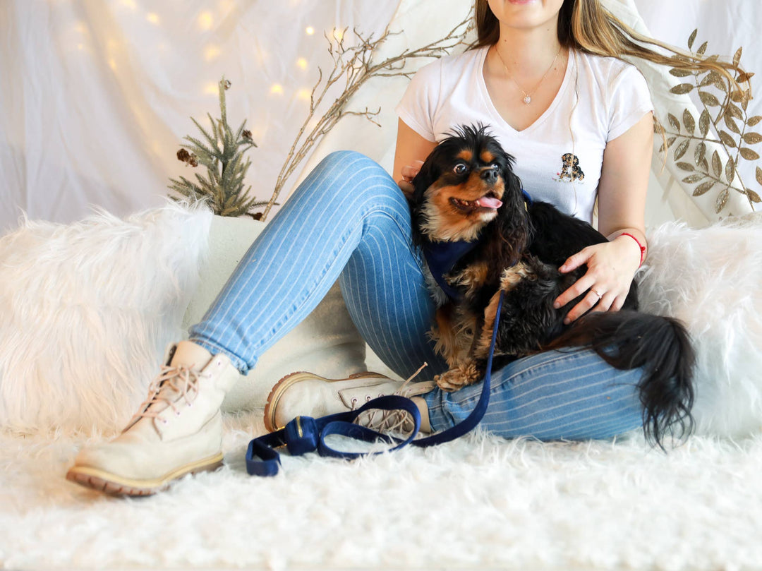 Velvet Pet Leash