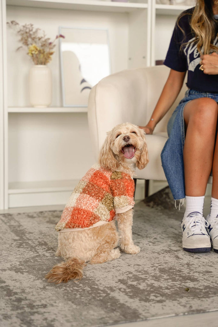 Boucle Plaid Dog Sweater