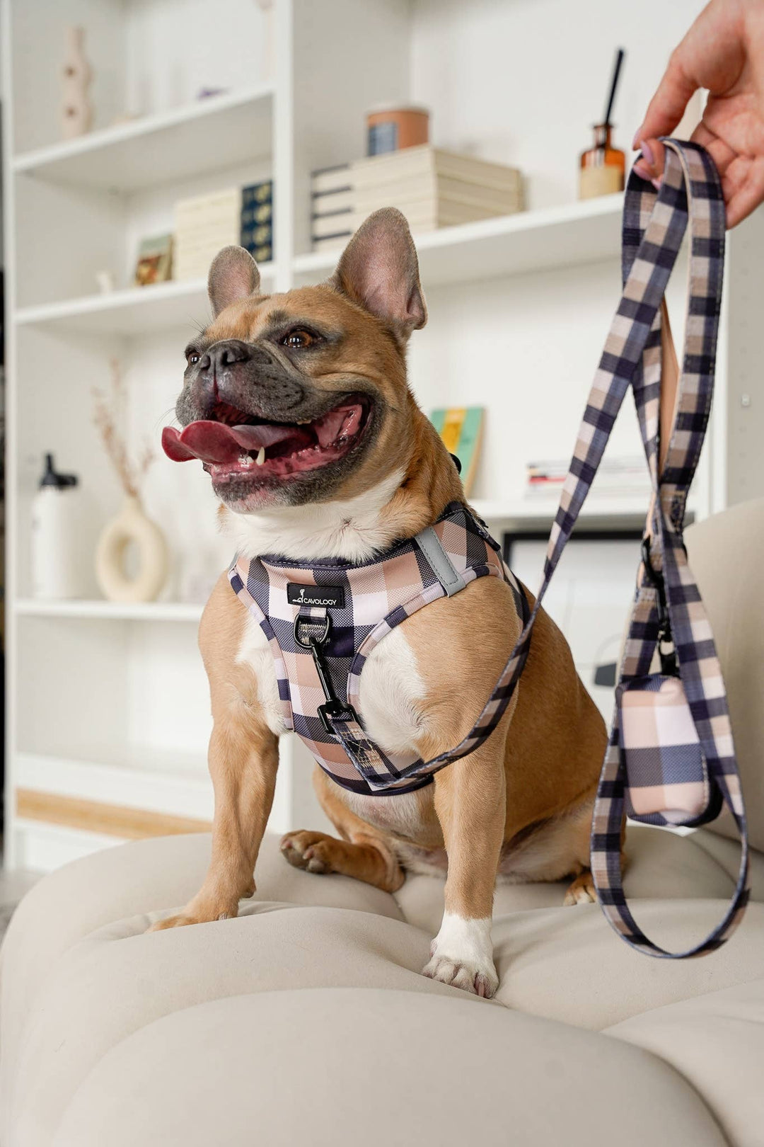 Buffalo Plaid Pet Leash