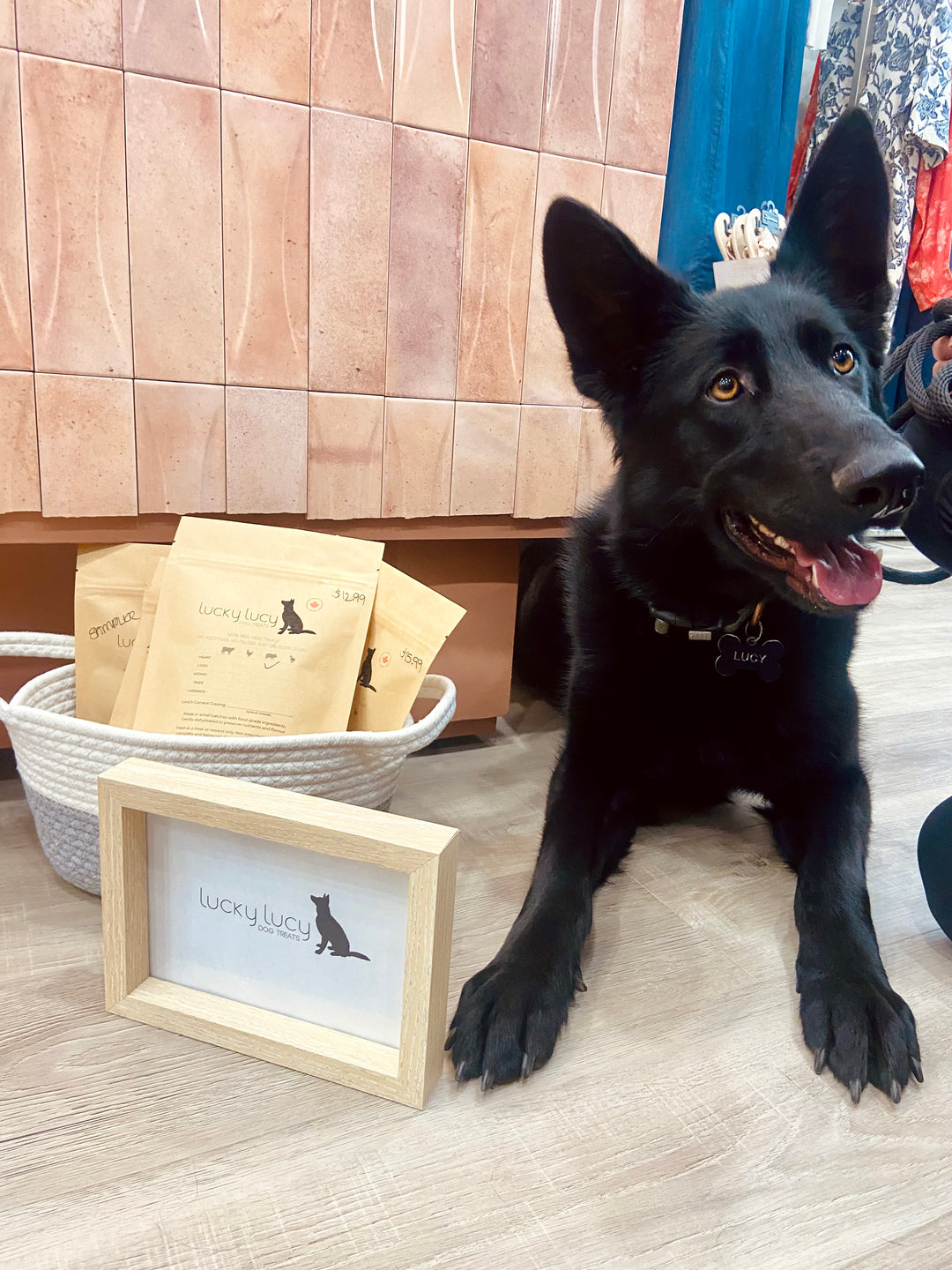 Dog treats in a bag labeled Lucky Lucy, featuring dehydrated  meat protein dog treats.